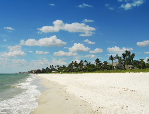 Fun in the Sun: What’s Going On in Naples