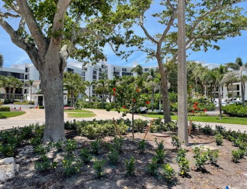 GSBN Median Restoration Complete