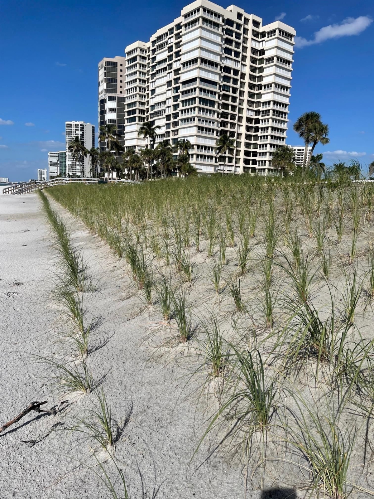Park Shore Beachwalk Update November 11, 2023 Gulf Shore