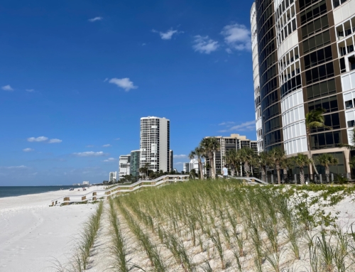 Park Shore Beachwalk Update – November 11, 2023
