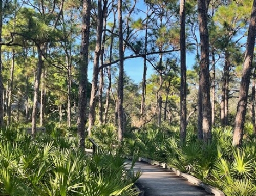 Little Gem in the Green Jewel