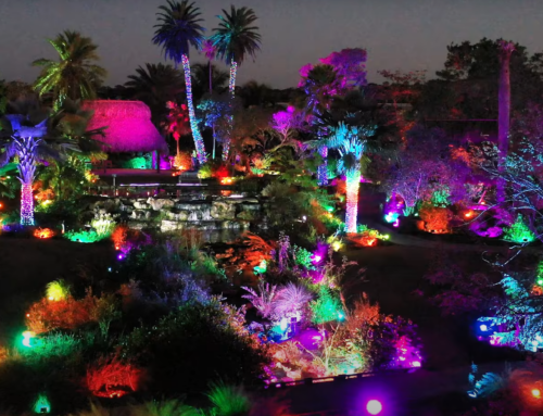 What’s Happening in Naples (Dec 2025-Jan 2026)